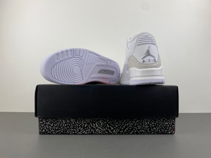 AIR Jordan 3 Retro Pure Money (2025) CT8532-111