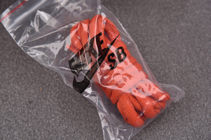 NIKE Dunk SB Low Premium “Un-Hemp” 313170-101