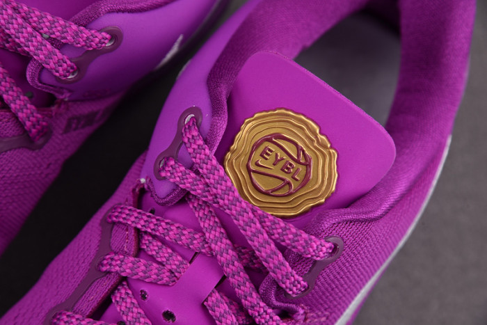 Nike Kobe 8 Protro EYBL HJ7265-500